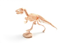 Набор для раскопок Археолог бронтозавр
